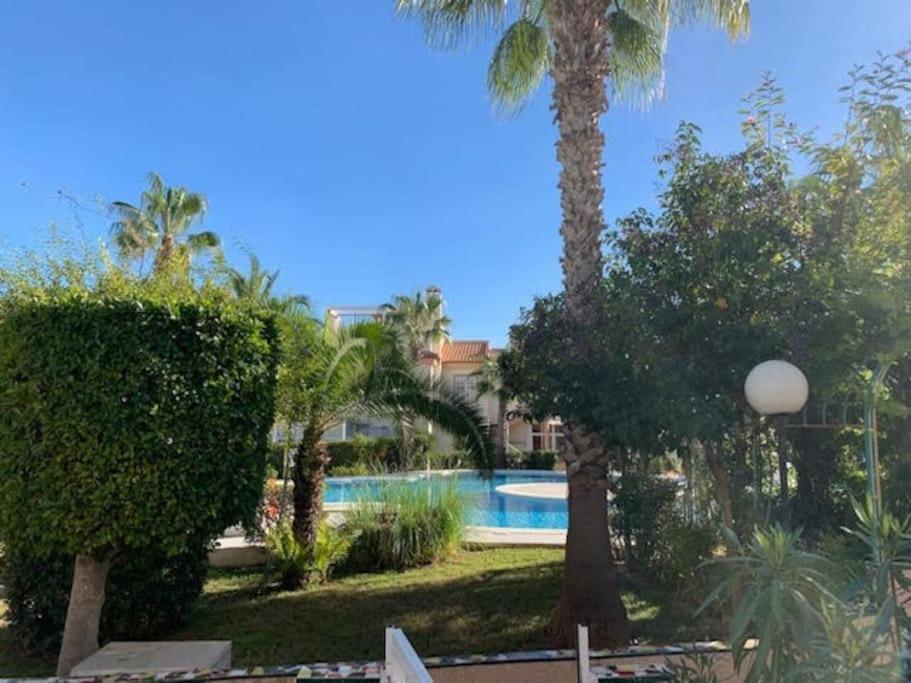 Schoenes Ferienbungalow In Los Altos Torrevieja Zewnętrze zdjęcie